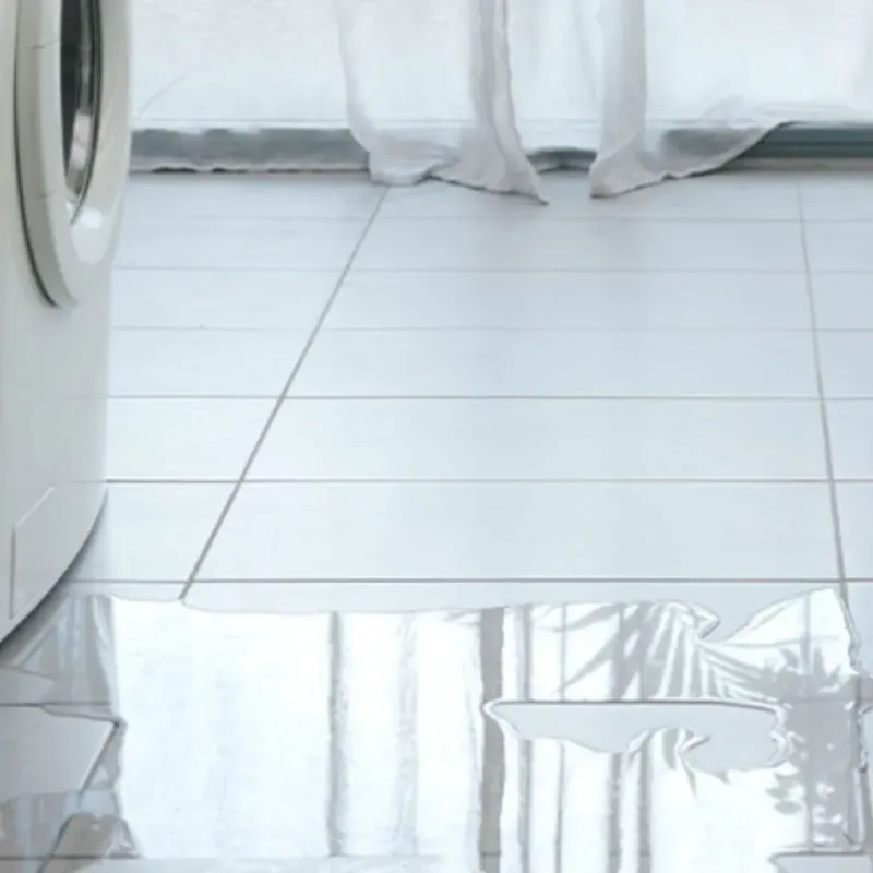 Appliance Leak Cleanup in Loomis, CA