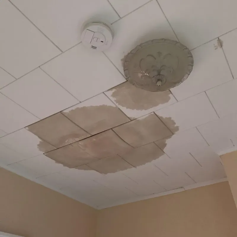Ceiling Water Damage Repair in Loomis, CA